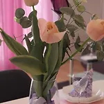 Galija 1 자다르
