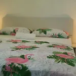 Galija 1 자다르
