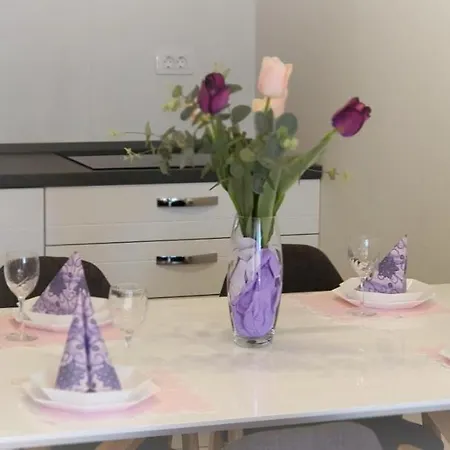 Apartment Galija 1